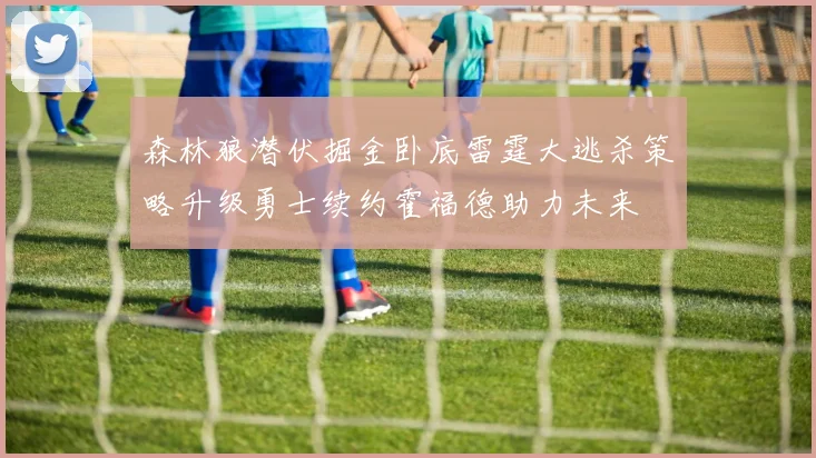森林狼潜伏掘金卧底雷霆大逃杀策略升级勇士续约霍福德助力未来