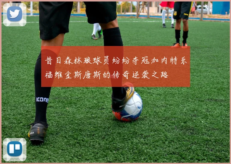 昔日森林狼球员纷纷夺冠加内特乐福维金斯唐斯的传奇逆袭之路