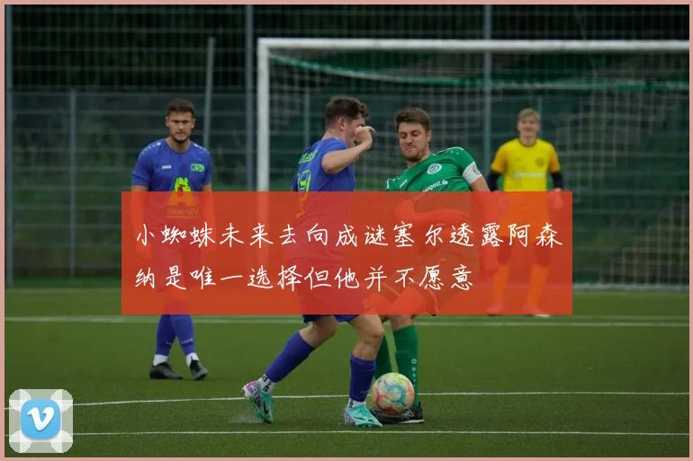 小蜘蛛未来去向成谜塞尔透露阿森纳是唯一选择但他并不愿意