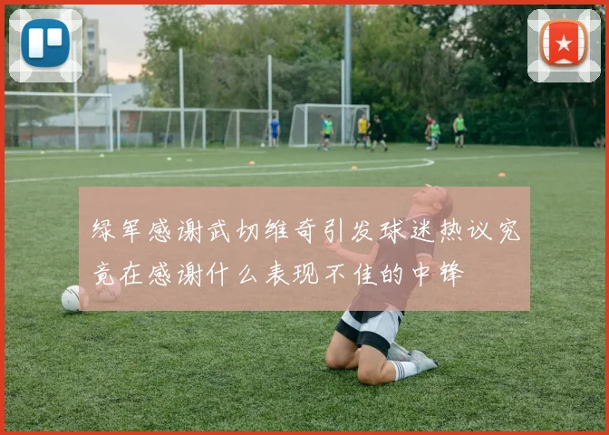 绿军感谢武切维奇引发球迷热议究竟在感谢什么表现不佳的中锋